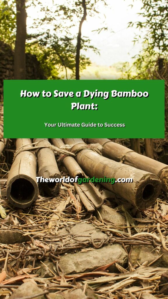 How to Save a Dying Bamboo Plant Your Ultimate Guide to Success pinterest image 1