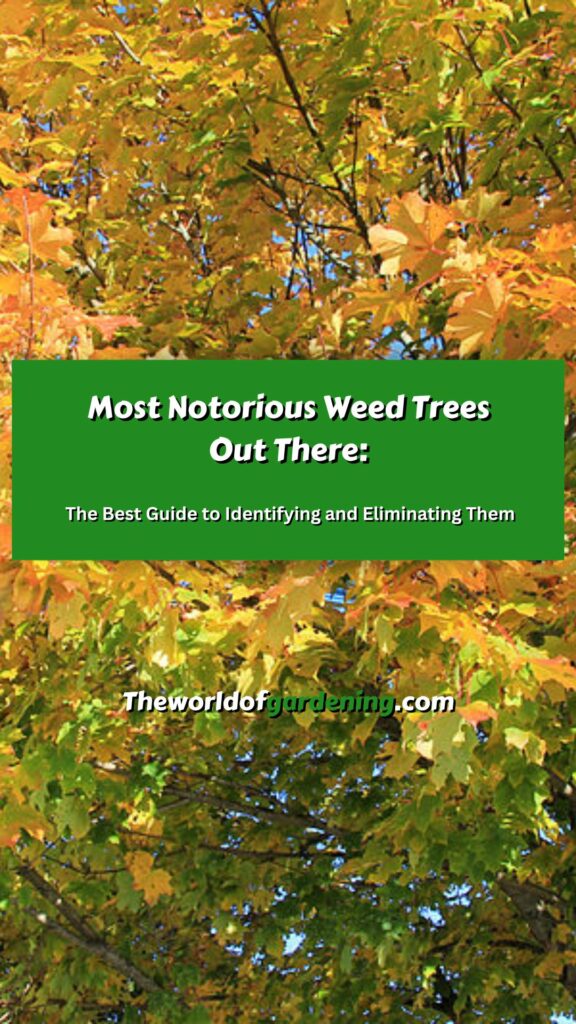 Most Notorious Weed Trees Out There The Best Guide to Identifying and Eliminating Them pinterest image