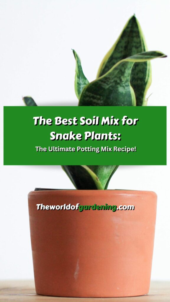 The Best Soil Mix for Snake Plants The Ultimate Potting Mix Recipe! pinterest image