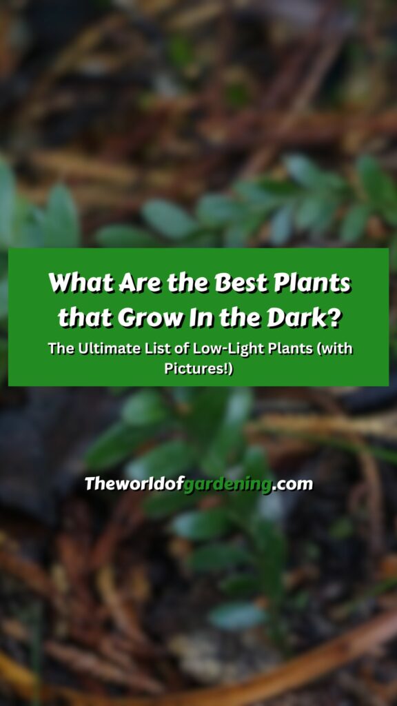 What Are the Best Plants that Grow In the Dark The Ultimate List of Low-Light Plants (with Pictures!) pinterest image