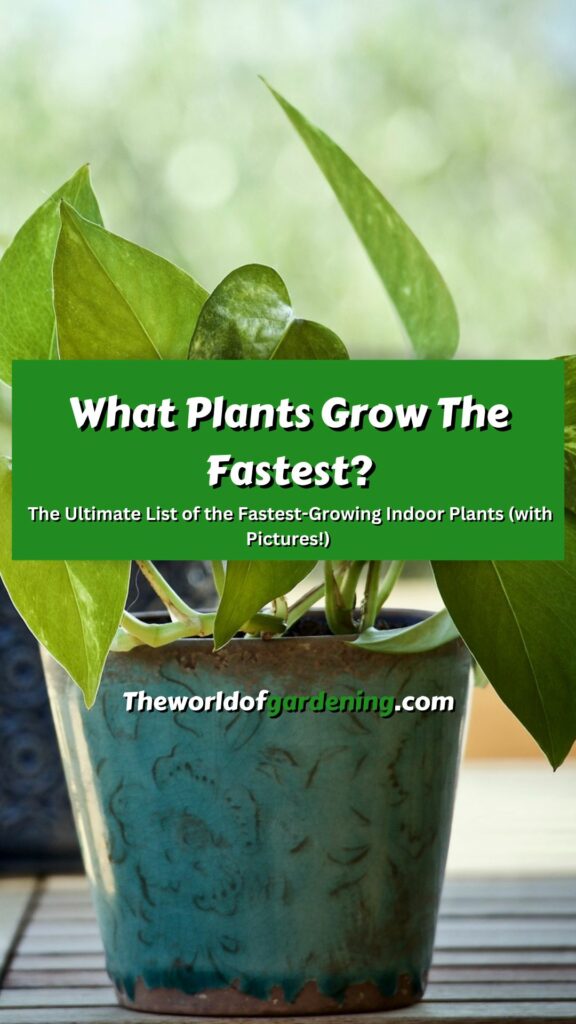 What Plants Grow The Fastest The Ultimate List of the Fastest-Growing Indoor Plants (with Pictures!) pinterest image